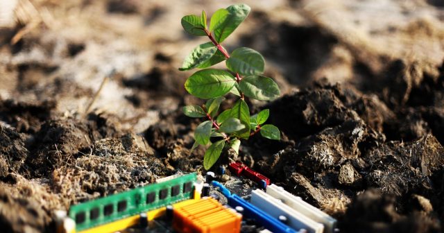 Durch Mitarbeitermotivation in der IT-Branche aufblühen